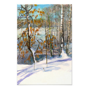 Foto Neve caiu