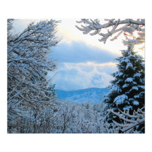 Foto Neve em Pinheiros nas Montanhas Rochosas do Colora