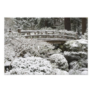 Foto Neve no Jardim Japonês de Portland,
