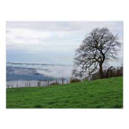 Foto Nevoeiro da manhã cedo