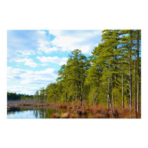 Foto New-jersey Pinelands