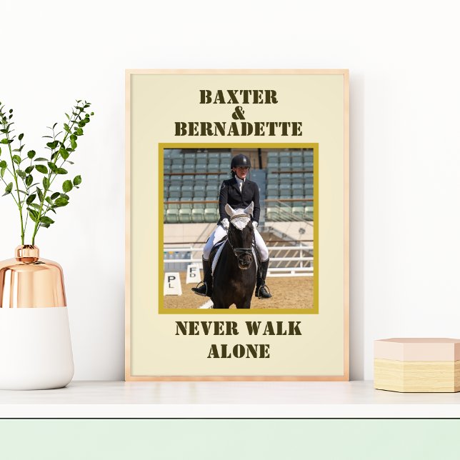 Foto Nome Fotográfico Proprietário do Cavalo (Criador carregado)