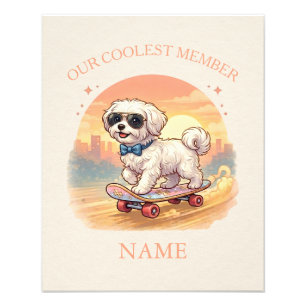 Foto Nome Personalizado Cachorro Maltês Legal Skatista 