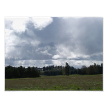 Noroeste do Pacífico