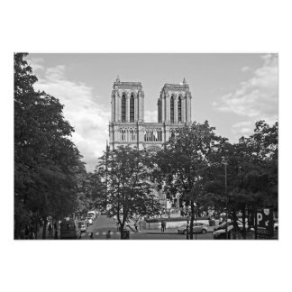 Foto Notre Dame de Paris no ambiente das árvores