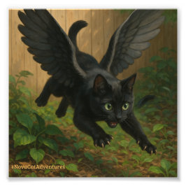 Foto Nova Cat Adventures – Winged Nova v1