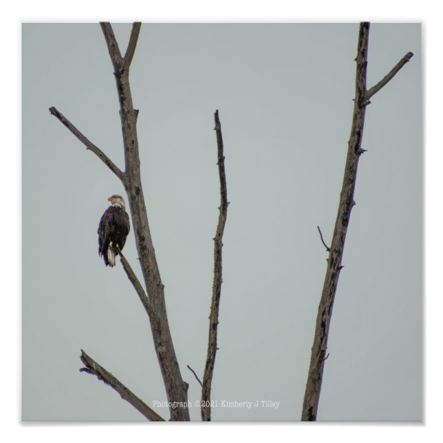 Foto Novembro (Frente)