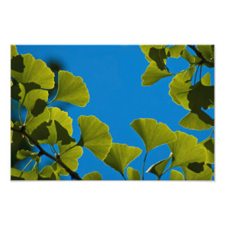 Foto Novo Crescimento.