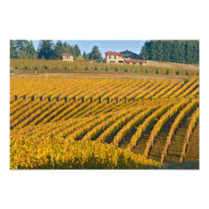 Foto Noz Negra, com aspecto Tuscano, acima da