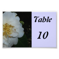 Número da Tabela Flor