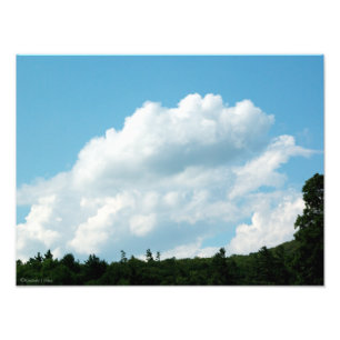 Foto Nuvens encontram árvores