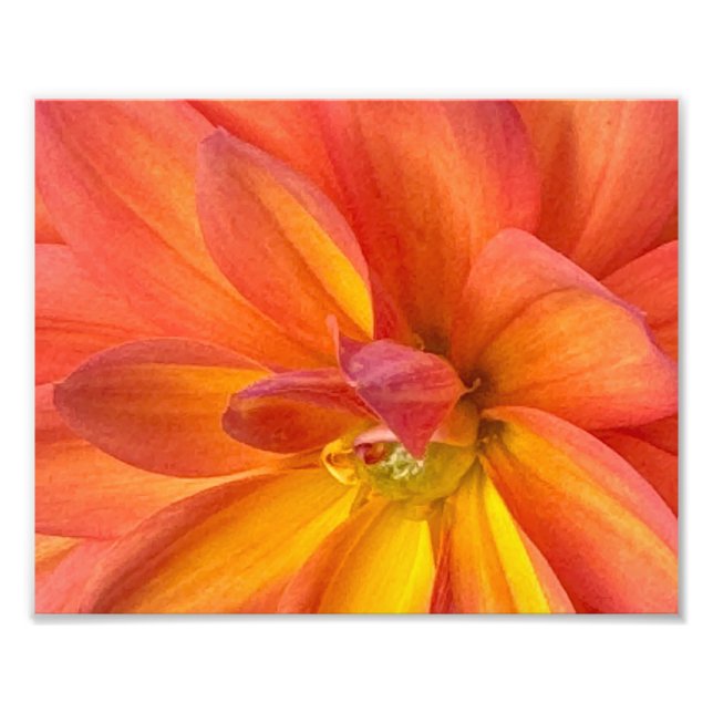Foto NYC em flor (Frente)