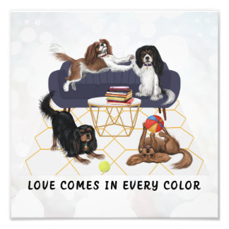 Foto O Amor Vem em Todas as Cores | Cavalier King Charl