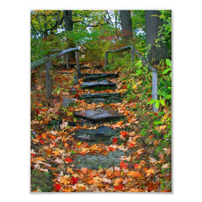 Foto O caminho (Frente)