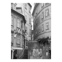 O charme das faixas de Viena