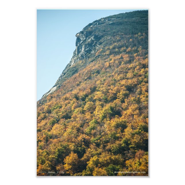 Foto O cobertor do outono (Frente)