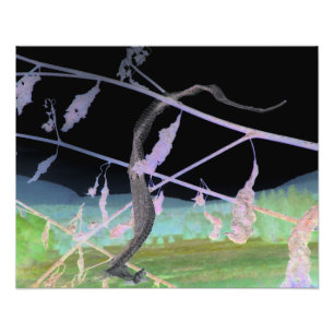 Foto "O Cobra Fakeskin" Transformado