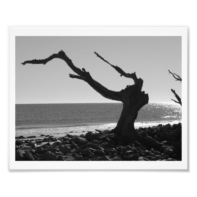 Foto O Condutor (Frente)