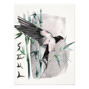 Foto O Design da Série Okinawa 14