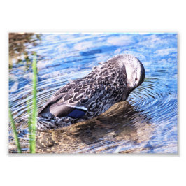 Foto O efeito de alvoroço