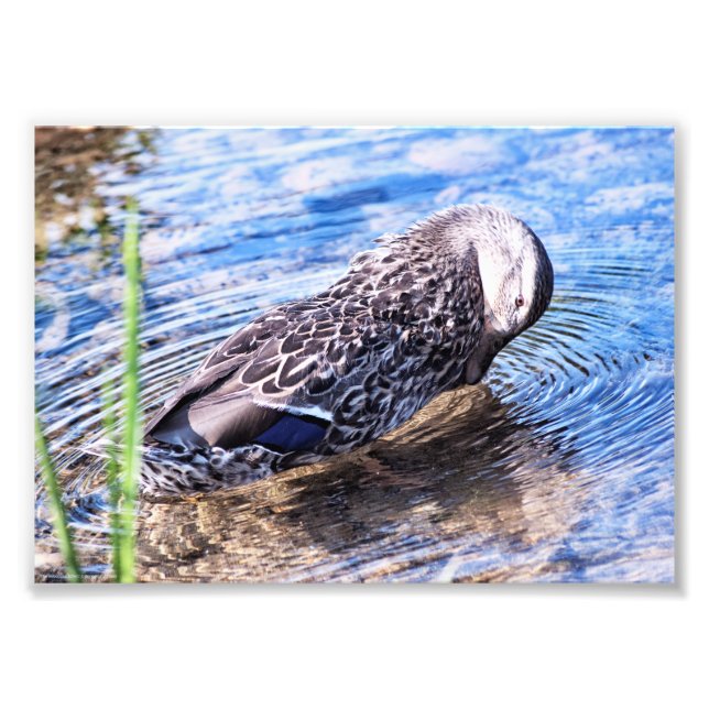 Foto O efeito de alvoroço (Frente)