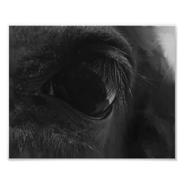 Foto O Espírito Está Dentro (Frente)