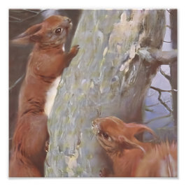 Foto O ESQUILO (Sciurus vulgaris)