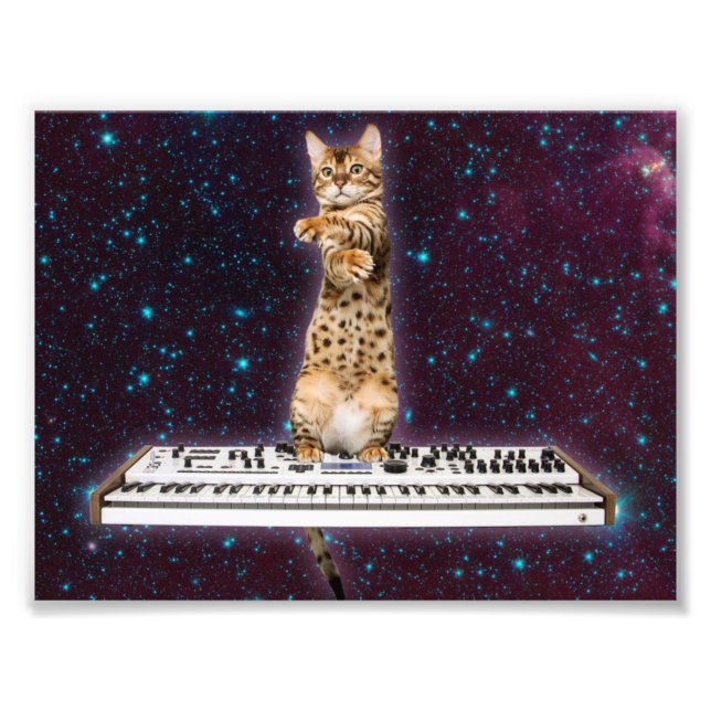 Foto O gato do teclado ataca novamente (Frente)