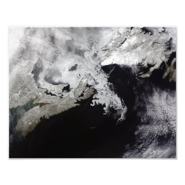 Foto O gelo marinho enche o Golfo de Rua Lawrence (Frente)