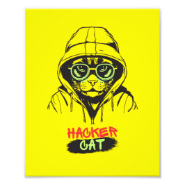 Foto O Hacker Cat