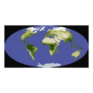 Foto O índice normalizado da vegetação da diferença