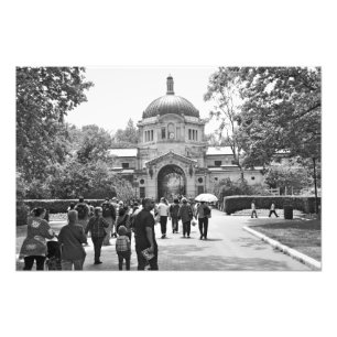 Foto O jardim zoológico de Bronx