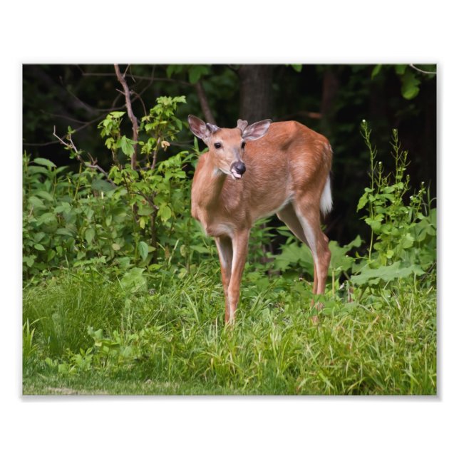 Foto O Jogo (Frente)