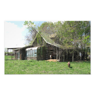 Foto O Lar dos Caprinos Antigos