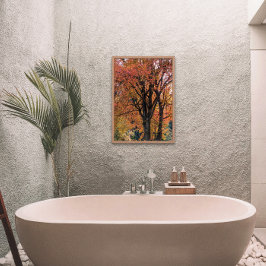 Foto O outono Colorir Deixa Fotográfico