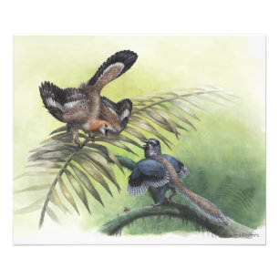 Foto O pássaro o mais adiantado