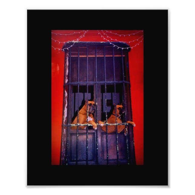 Foto O Plano de Fuga (Frente)