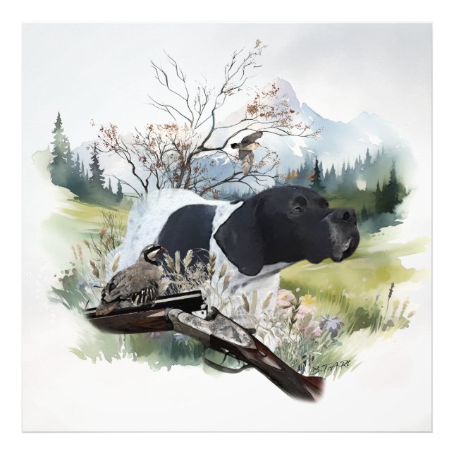 Foto O ponteiro inglês (Frente)