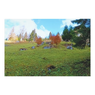 Foto O Prado da Montanha - Natureza Selvagem Romênia