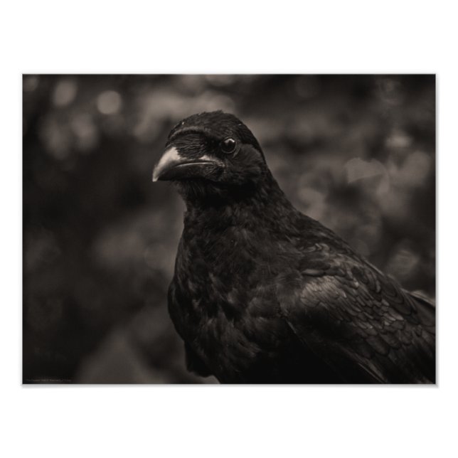 Foto O Requerente (Frente)