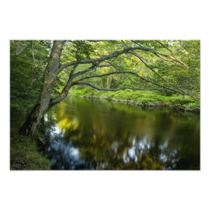 Foto O rio Taunton em Bridgewater,
