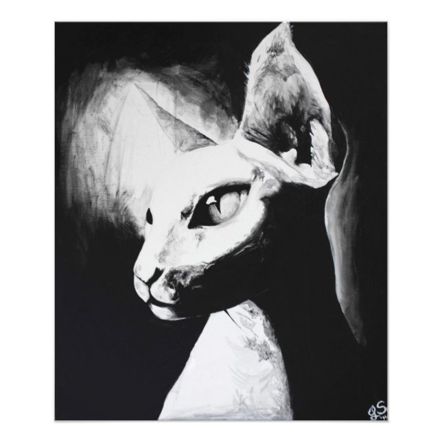 Foto O Sphynx Cat Feline Original Art Photo Impressão (Frente)
