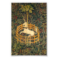 O Unicórnio em cativeiro