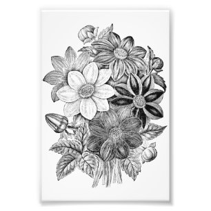 Foto O vintage floresce o impressão branco preto