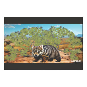 Foto O Wombat gordinho e fofinho