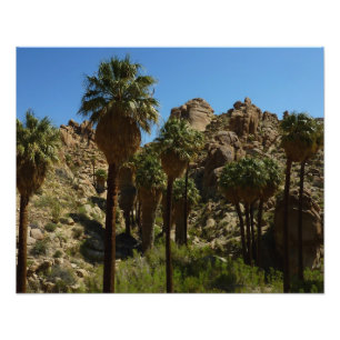 Foto Oásis Lost Palms I no Parque Nacional Joshua Tree