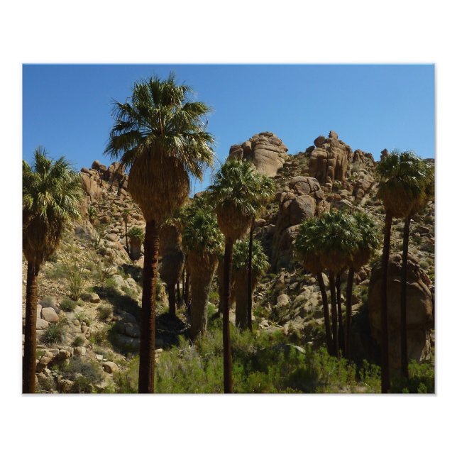 Foto Oásis Lost Palms I no Parque Nacional Joshua Tree (Frente)