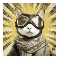 Óculos de Gato de Aviador Por do Sol Retrato