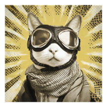Óculos de Gato de Aviador Por do Sol Retrato