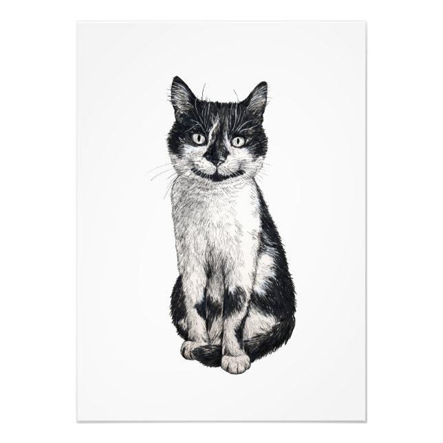 Foto Ogie, o gato (Frente)